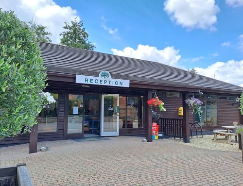 Reasons to Visit Us!