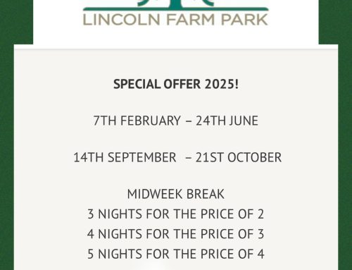 Special Offer 2025